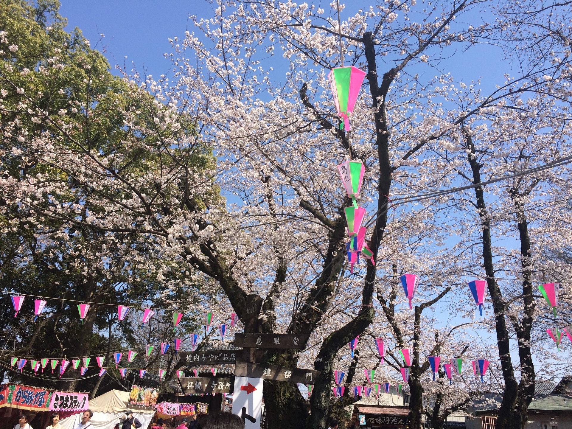 川越 春祭り 川越 志木 駅近 正統派エステサロン Joie 心と体のメンテナンスするサロン